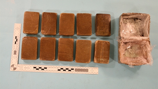 Hai zabavený v Hradci Králové. 