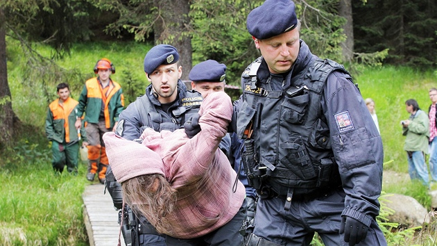 Policisté dnes zasáhli proti aktivistm, kteí na umav u Ptaího potoka 