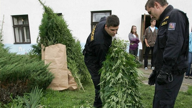 Policie zabavuje rostliny konopí na zahrad� man�el� Dvo�ákových v Osp�lov� na