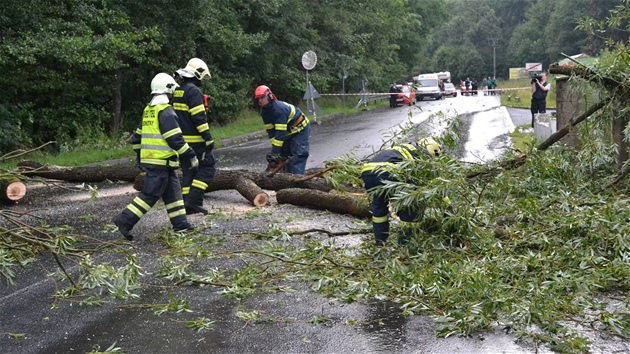 Na rodinný dm v Horním áru spadl vzrostlý strom. (20. ervence 2011)