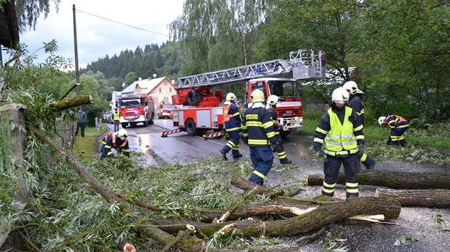 Na rodinný dm v Horním áru spadl vzrostlý strom. (20. ervence 2011)