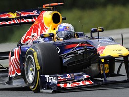 Sebastian Vettel z Red Bullu bhem tetho trninku ped Velkou cenou Maarska.