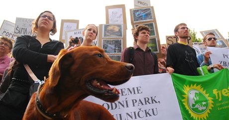 Nejen dti a krovec, na demonstraci proti kcen strom na umav se s