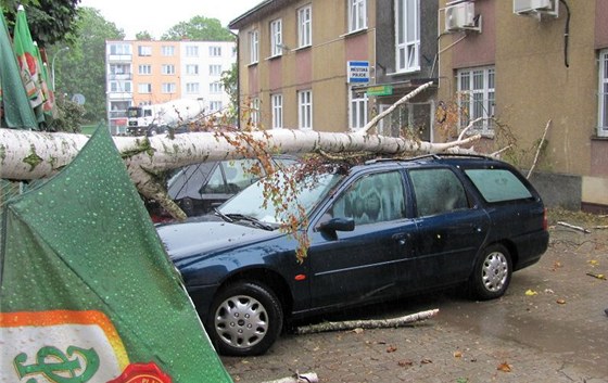 V Chodov na Karlovarsku pokodil spadlý strom zaparkovaný automobil.