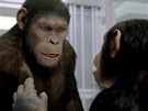 Z filmu Zrození Planety opic