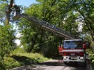 Hasii zasahovali po silnm vtru, kter se krajem pehnal v pondl celkem u