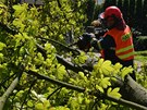 Hasii zasahovali po silnm vtru, kter se Karlovarskm krajem pehnal v