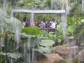 Arel Gondwanaland v lipsk zoo je nejvt expozic detnho pralesa v Evrop