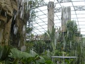 Areál Gondwanaland v lipské zoo je největší expozicí deštného pralesa v Evropě