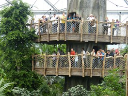 Arel Gondwanaland v lipsk zoo je nejvt expozic detnho pralesa v Evrop