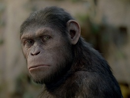 Z filmu Zrození Planety opic
