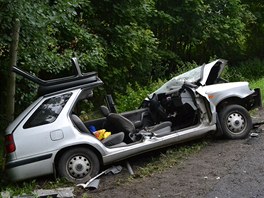 Po stetu s dodvkou zemel u lutic na Karlovarsku idi felicie.