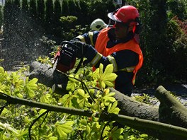 Hasii zasahovali po silnm vtru, kter se Karlovarskm krajem pehnal v