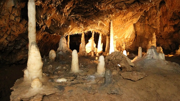 Sloupsko-ovská jeskyn v Moravském krasu
