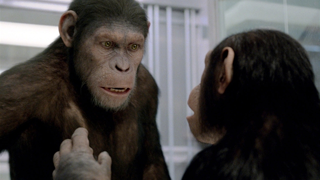 Staí ukrást sérum a vichni primáti mají nadji, e pevýí lidskou inteligenci.