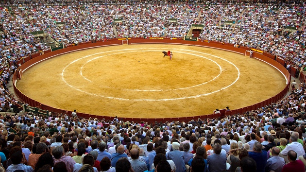 Býčí zápasy ve španělské Valencii. (23. července 2011)