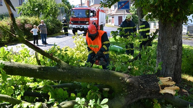 Hasii zasahovali po silném vtru, který se Karlovarským krajem pehnal v