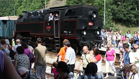 U pítí rok by mly vlakové soupravy na lokálku ke Smiicím vyjídt kadý prázdninový víkend. (Ilustraní snímek)