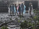 Prudká boue zabíjela na obím festivalu Pukkelpop poblí belgického msta