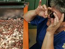 Kontrola desetikorun v mincovn� v Jablonci nad Nisou