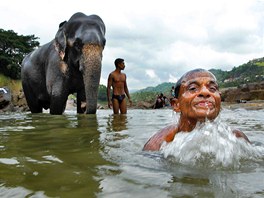 Mu ze Srí Lanky si vychutnává koupel v místní ece a následuje ho oetovatel slon se svým svencem. Spolená koupel se odehrála ve mst Kandy, asi 110 kilometr severovýchodn od hlavního msta Colomba.
