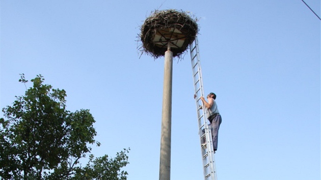 Kontrola apích hnízd na Roudnicku