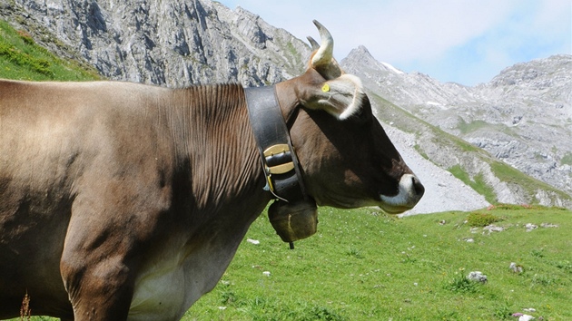 Pehrada Silvretta se stavla od roku 1938, bhem války ji budovali vzni a totáln nasazení.