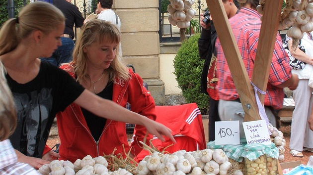 Letos se v Buchlovicích prodalo na 4 tuny českého česneku. 