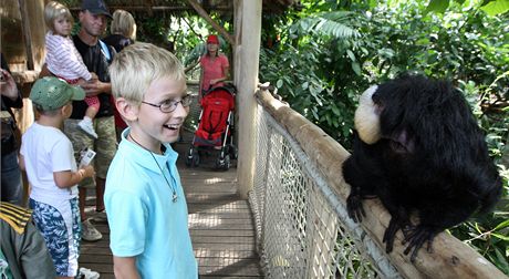 Zoo v Lené je druhá nejnavtvovanjí v esku. O uplynulém víkendu pijelo obdivovat tamní zvíata nkolik tisíc lidí. (Ilustraní snímek)