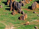 Pírodní park Cabárceno na severu panlska, kam Moja odcestuje v první