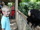Nov prstky ve zlnsk zoo: mld se narodilo chvostanm blolcm