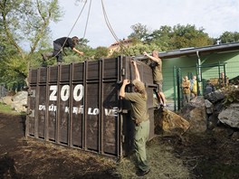 Nosoroec Beni se sthuje z plzesk zoo za svoj novou drukou do zoologick