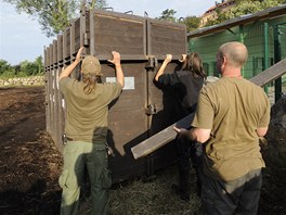 Nosoroec Beni se sthuje z plzesk zoo za svoj novou drukou do zoologick