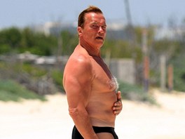 Arnold Schwarzenegger (2008)