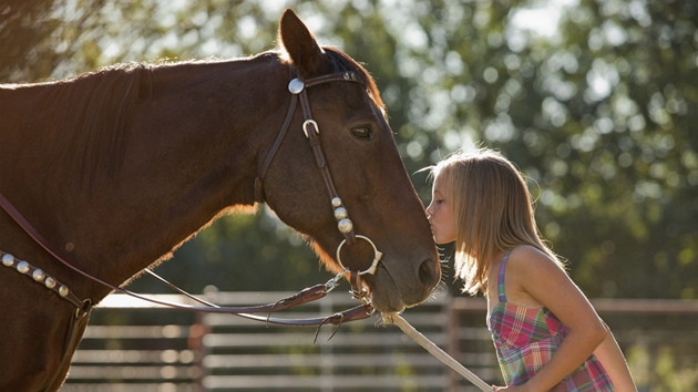 K je snem mnoha dtí.