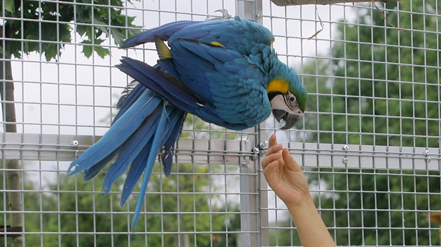 V sobotu byla ve Vtrovech u Tábora otevena nová zoologická zahrada.