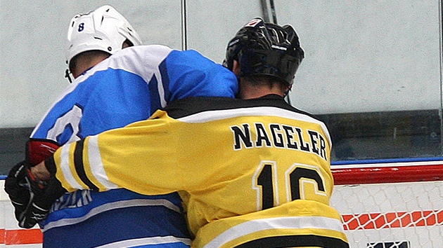 Momentka z utkání mezi hokejisty Plzn� (v modrém) a Vídn�