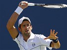 SNADNÁ PRÁCE. Srbský tenista Novak Djokovi poteboval na postup do druhého