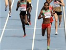 ETIOPIE V ELE. Genzebe Dibabaová a hladký postup z rozbhu na 5000 metr.