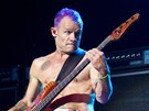 Red Hot Chili Peppers 30. 8. 2011 v Kolín nad Rýnem (Flea)