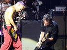 Red Hot Chili Peppers 30. 8. 2011 v Kolín nad Rýnem (Flea, Josh Klinghoffer)