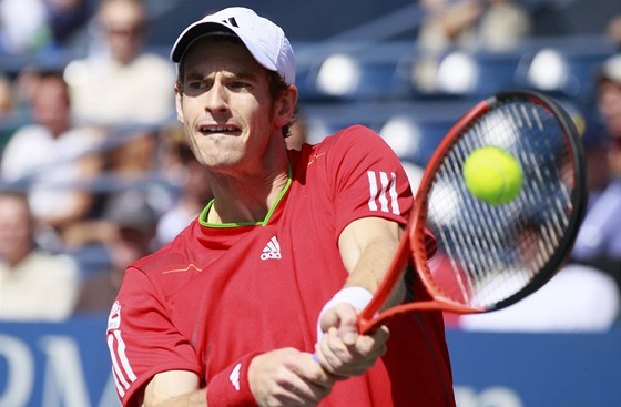 ÚTOK. Andy Murray netají pání zaútoit na tetí místo Rogera Federera v ebíku ATP.