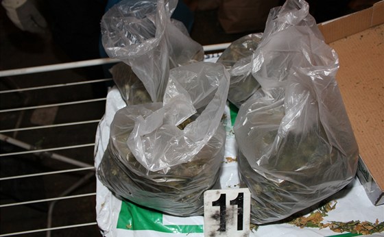 Policisté našli uvnitř vozu několik kilogramů marihuany. (Ilustrační snímek)