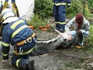 Hasii za pomoci jeábu vyproují kon, který v Merklín na Plzesku spadl do