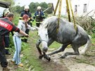 Hasii vytahují jeábem kon, který v Merklín spadl do jímky