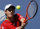 Britský tenista Andy Murray zasahuje míek ve tvrtfinále US Open.