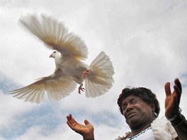 Paula Davisová na Arlingtonském národním hbitov vypoutí bílou holubici na