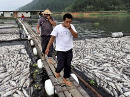 íntí rybái si s odporem kryjí nosy ped puchem pícím z leklých ryb v sádkách uej-kchou na jihovýchod íny.  Místní úady se nyní snaí zjistit, pro miliony ryb uhynuly.
