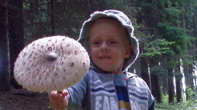 Naše rodinné houbaření – syn Štěpán byl prvně na houbách.