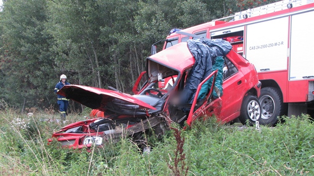 Dva chlapci, které na pechodu v Hradci Králové pejelo couvající auto, patí mezi 25 loských obtí.